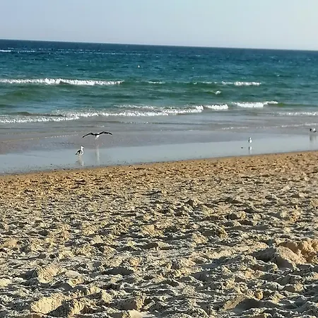 דירה Garden Pool View Terrace